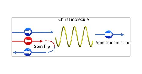 chirality induced spin selectivity